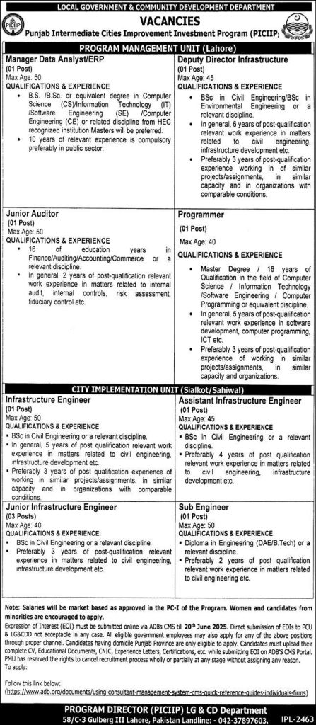 Local Government and Community Development Department PCIIP Govt of Punjab Jobs 2025